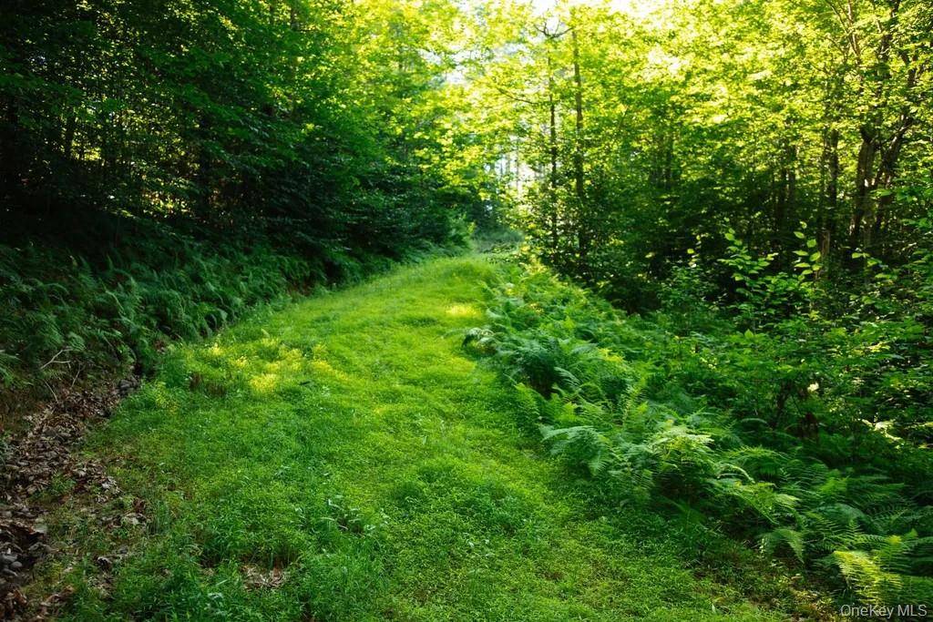 Lot 2 Woodstone Trail, Lumberland, NY 12737