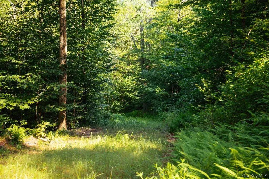 Lot 2 Woodstone Trail, Lumberland, NY 12737