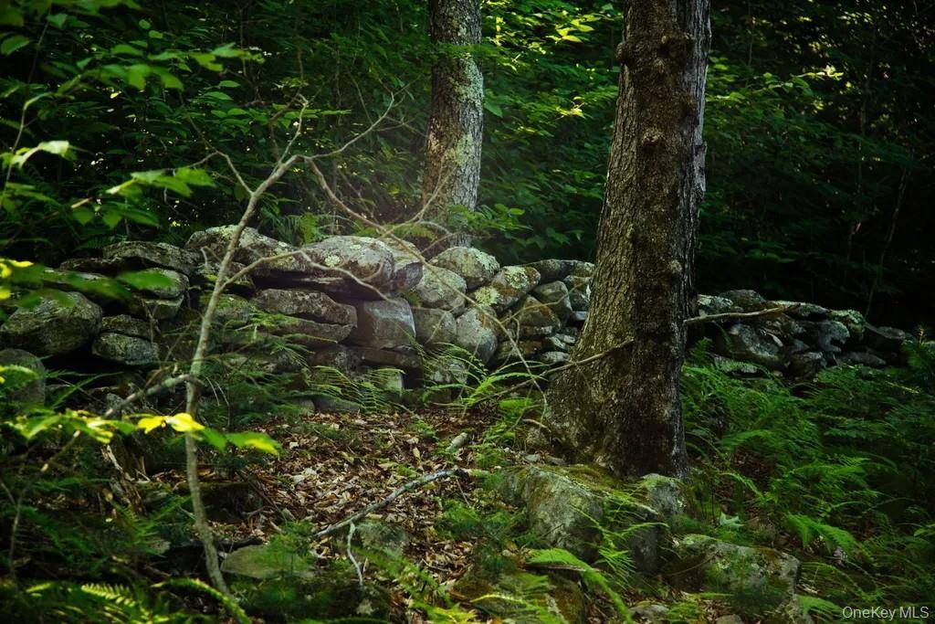 Lot 2 Woodstone Trail, Lumberland, NY 12737