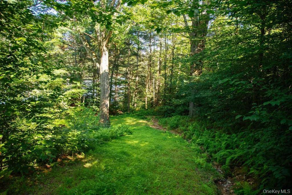 Lot 2 Woodstone Trail, Lumberland, NY 12737