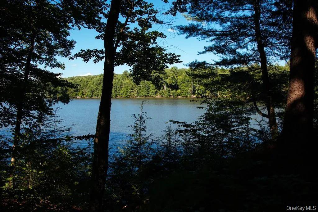 Lot 2 Woodstone Trail, Lumberland, NY 12737