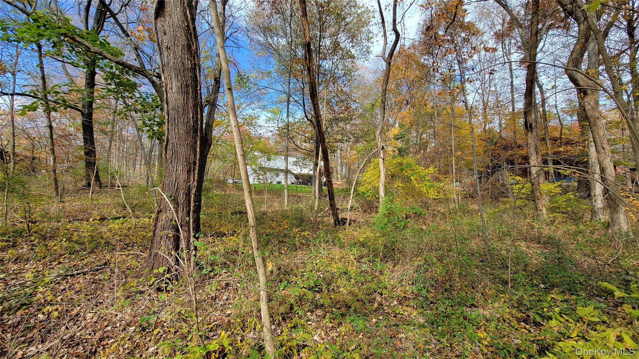 15 Rose EST, Walden, NY 12586
