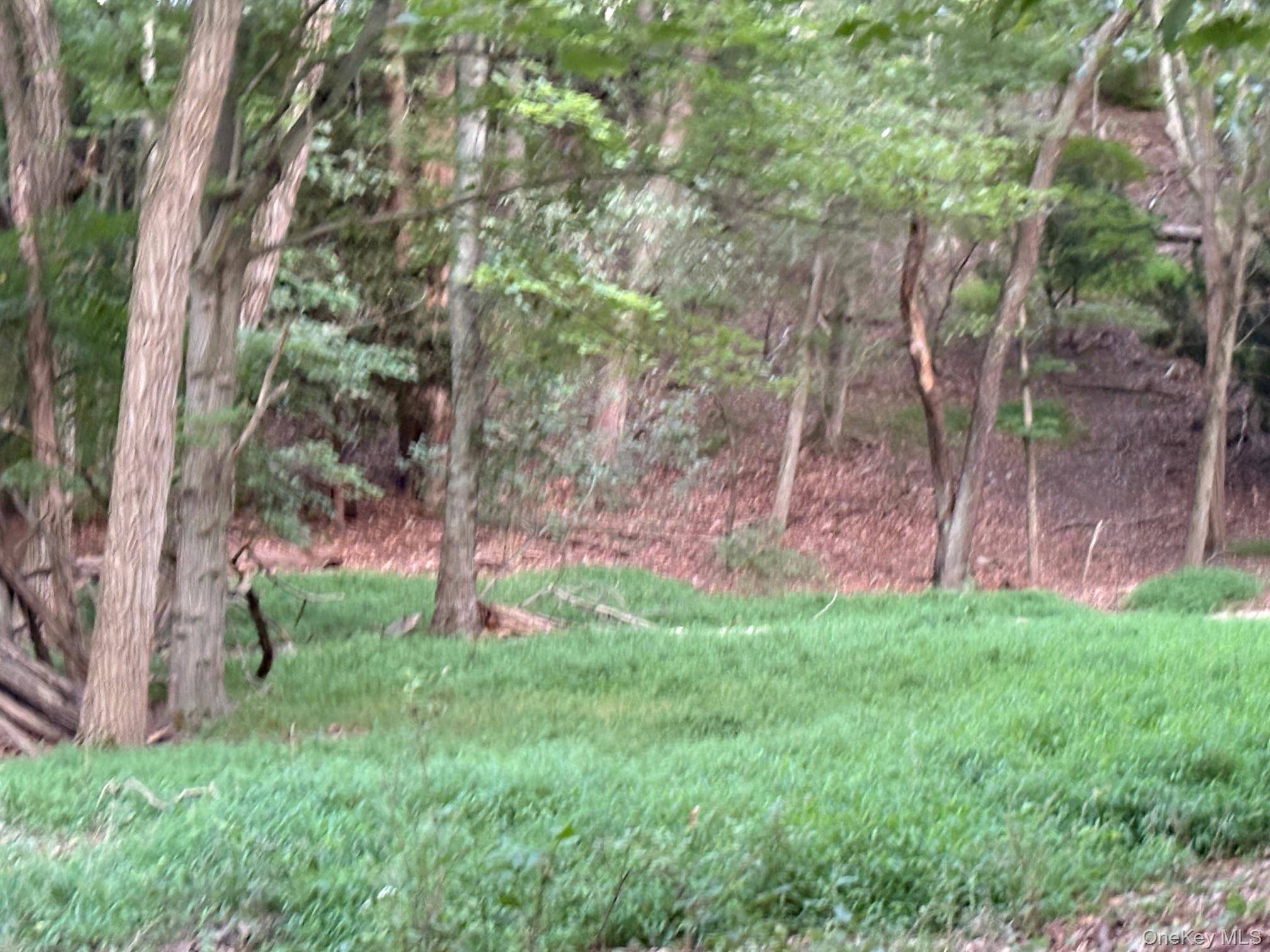 Dark Hollow RD, Port Jefferson, NY 11777