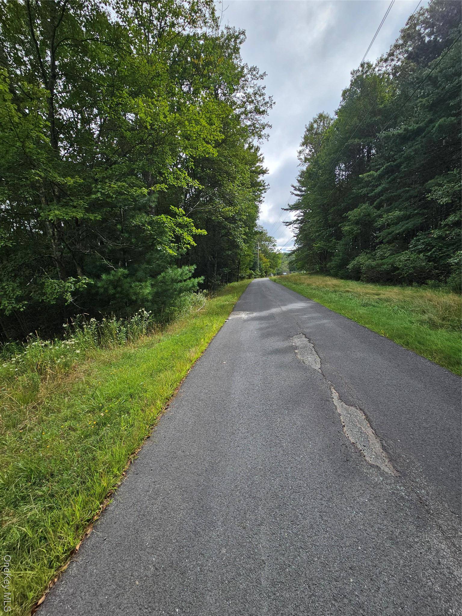 Flower Ave. & State Route 55, Kauneonga Lake, NY 12720