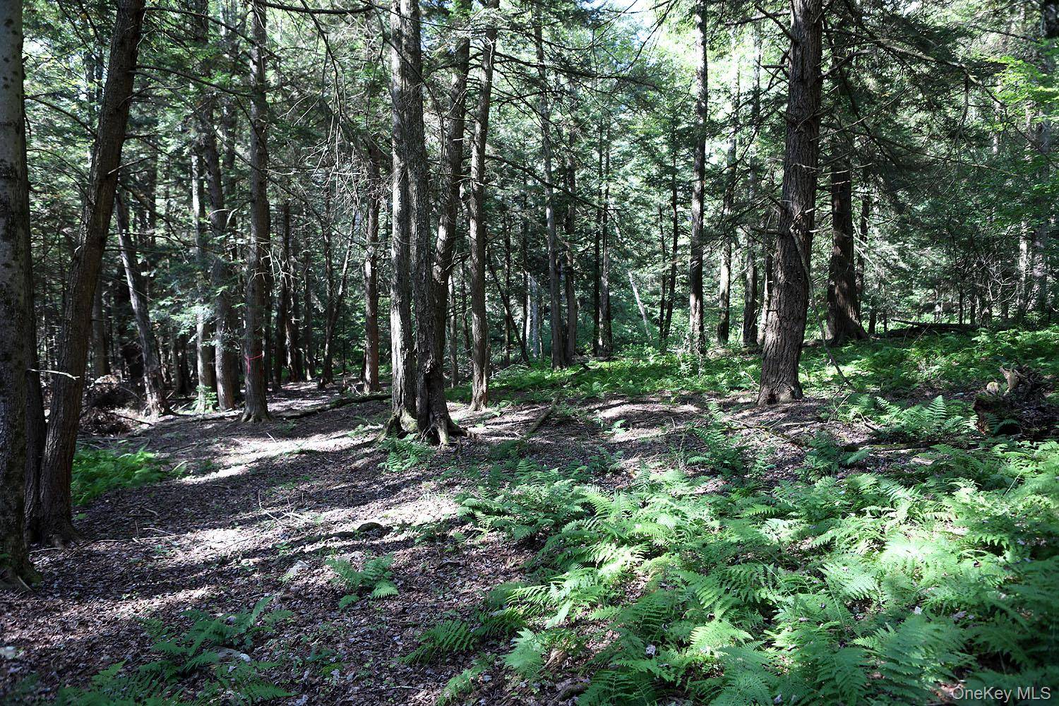 TBD George Segar RD, Swan Lake, NY 12783