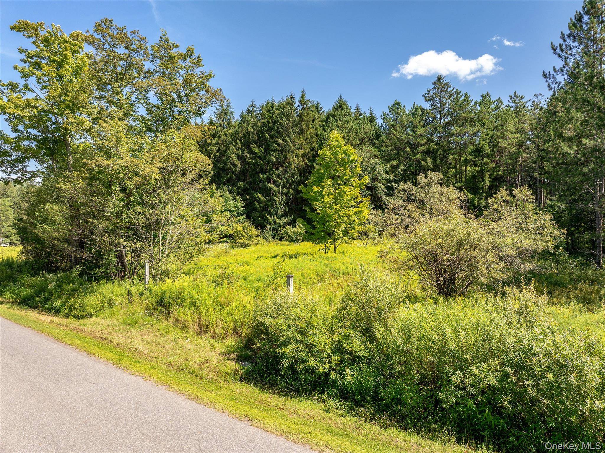 0 Masonville Pond Cummings RD, Call Listing Agent, NY