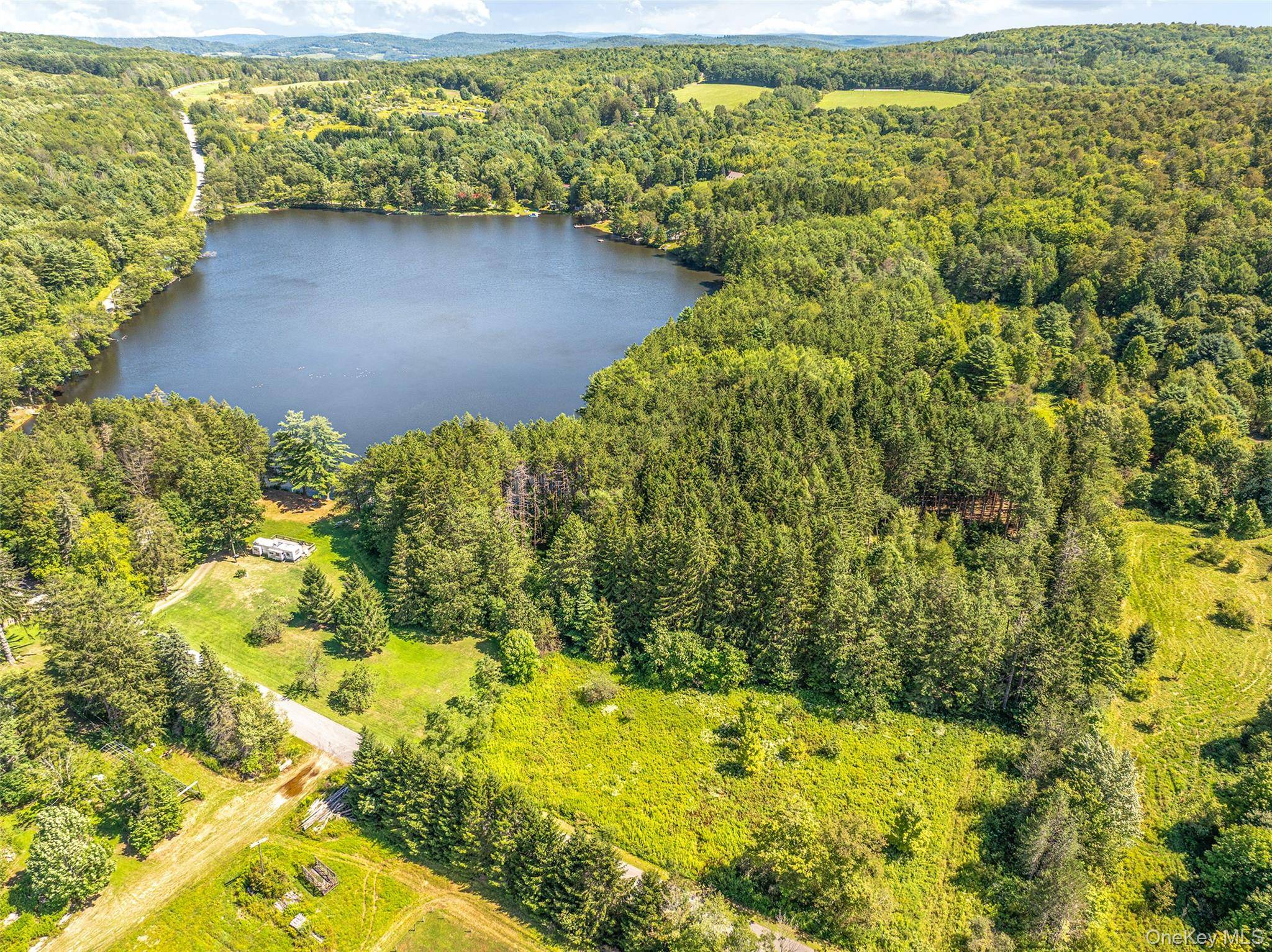 0 Masonville Pond Cummings RD, Call Listing Agent, NY