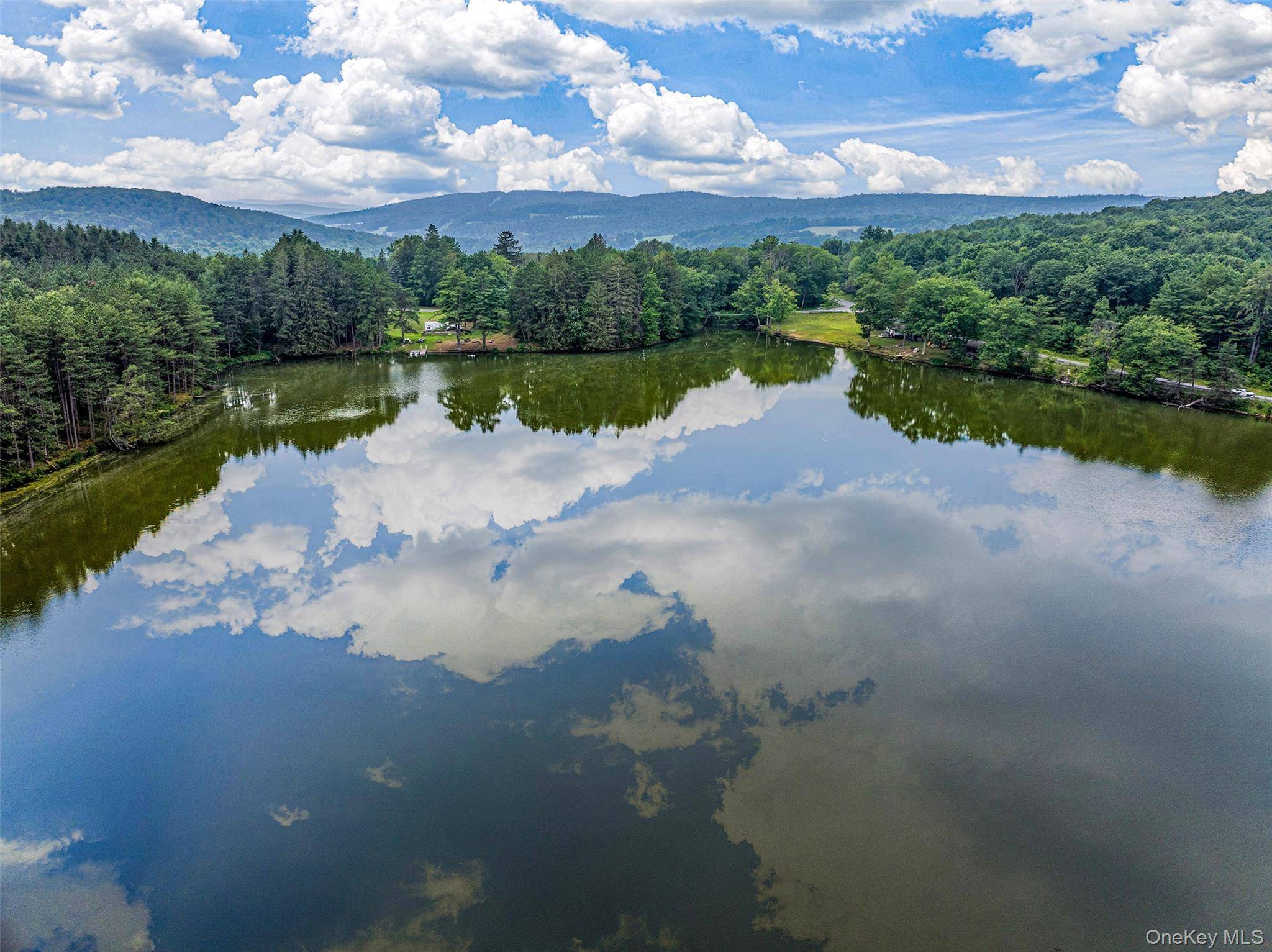 0 Masonville Pond Cummings RD, Call Listing Agent, NY