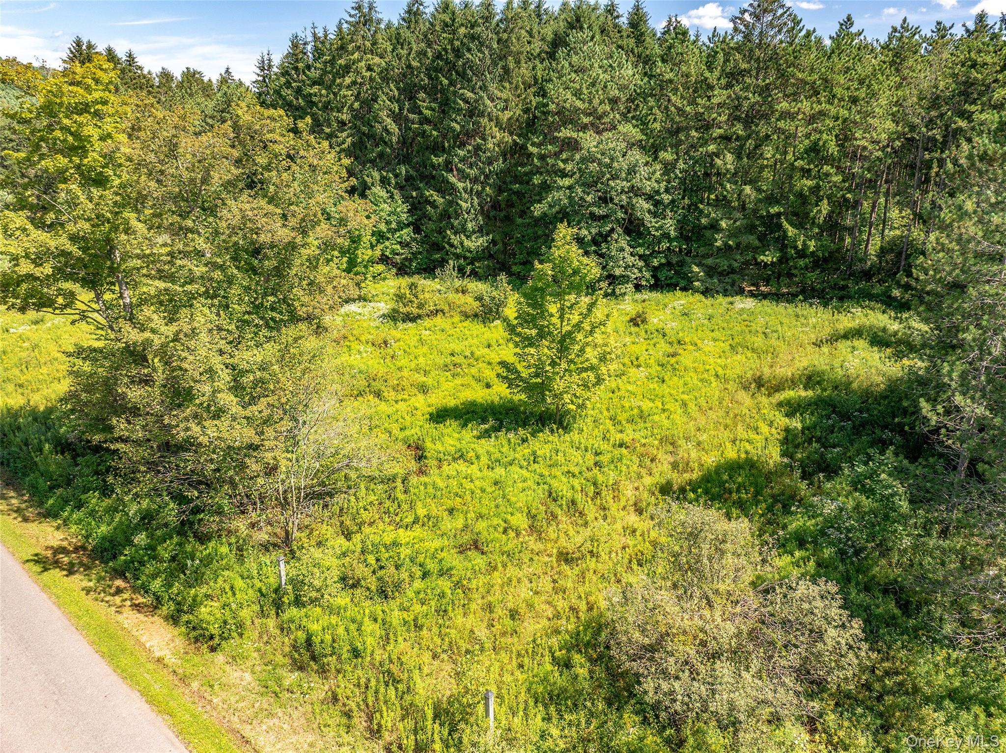 0 Masonville Pond Cummings RD, Call Listing Agent, NY