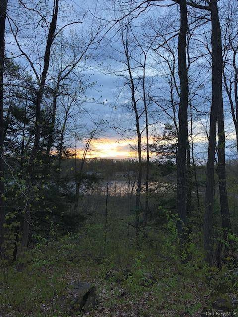 Lily Lake RD, Highland, NY 12528
