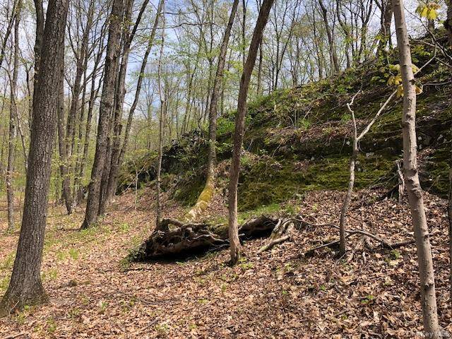 Lily Lake RD, Highland, NY 12528