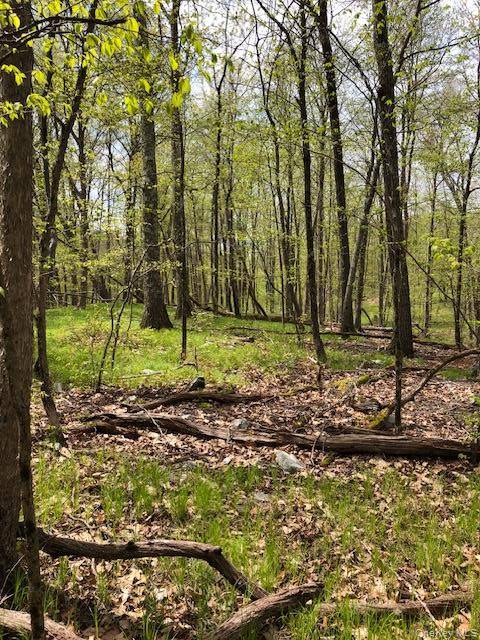 Lily Lake RD, Highland, NY 12528
