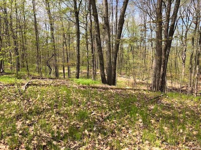 Lily Lake RD, Highland, NY 12528