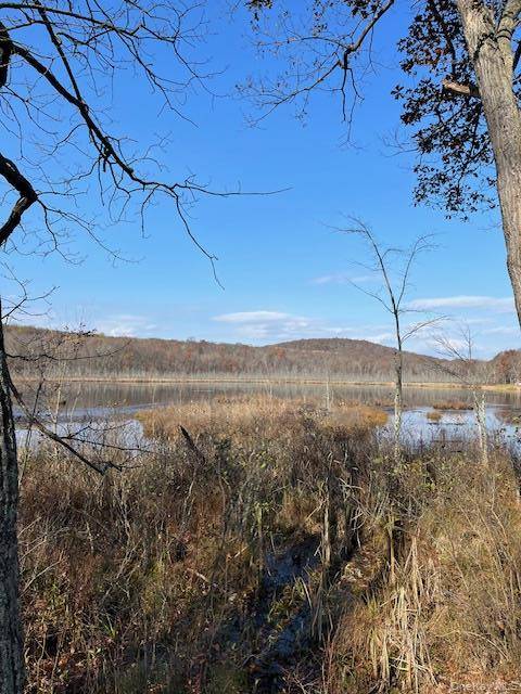Lily Lake RD, Highland, NY 12528
