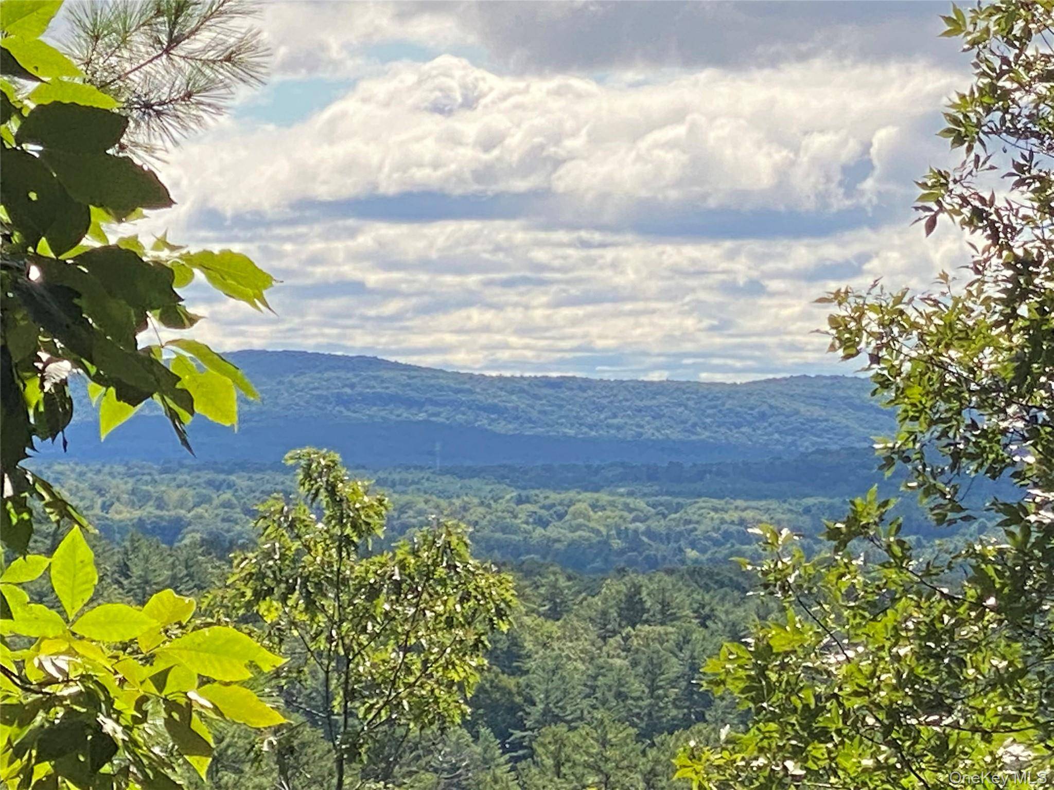 0 Dug Hill RD, Hurley, NY 12443