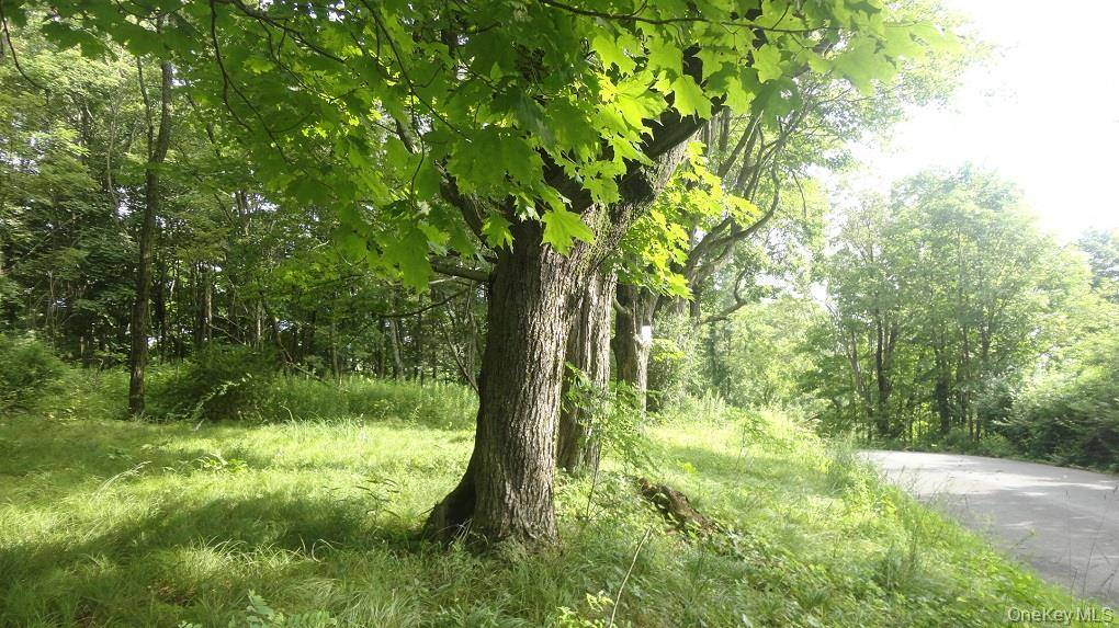 Henry RD, Cragsmoor, NY 12420