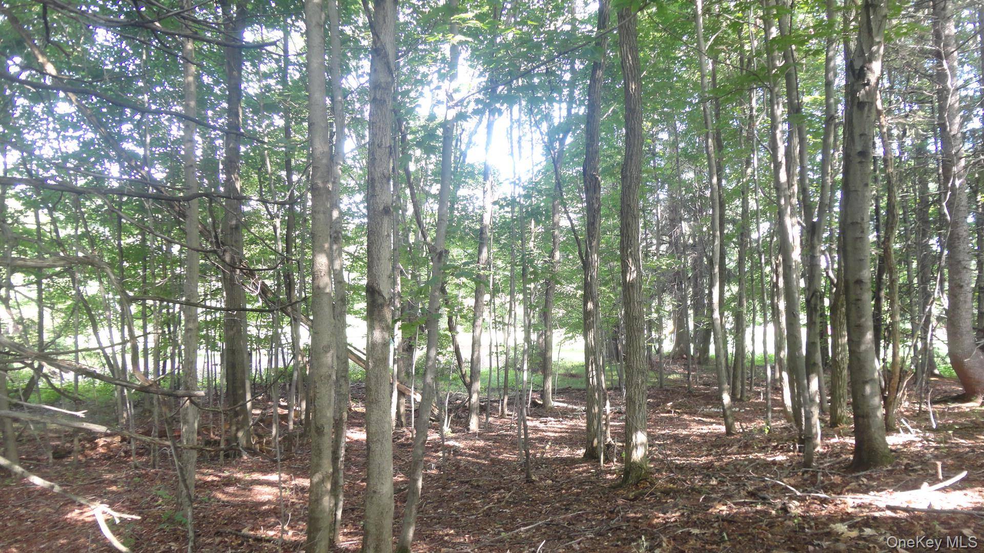 Henry RD, Cragsmoor, NY 12420