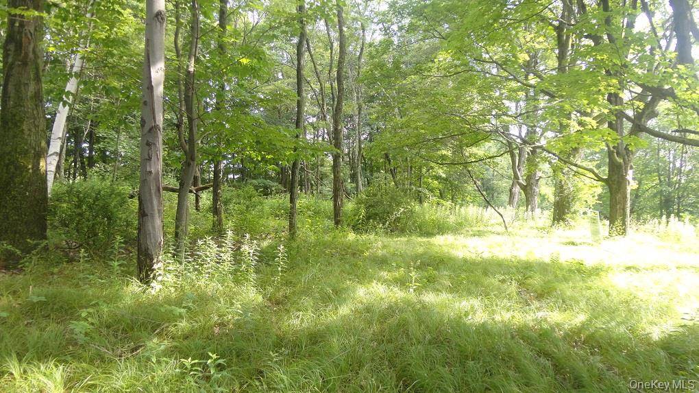 Henry RD, Cragsmoor, NY 12420