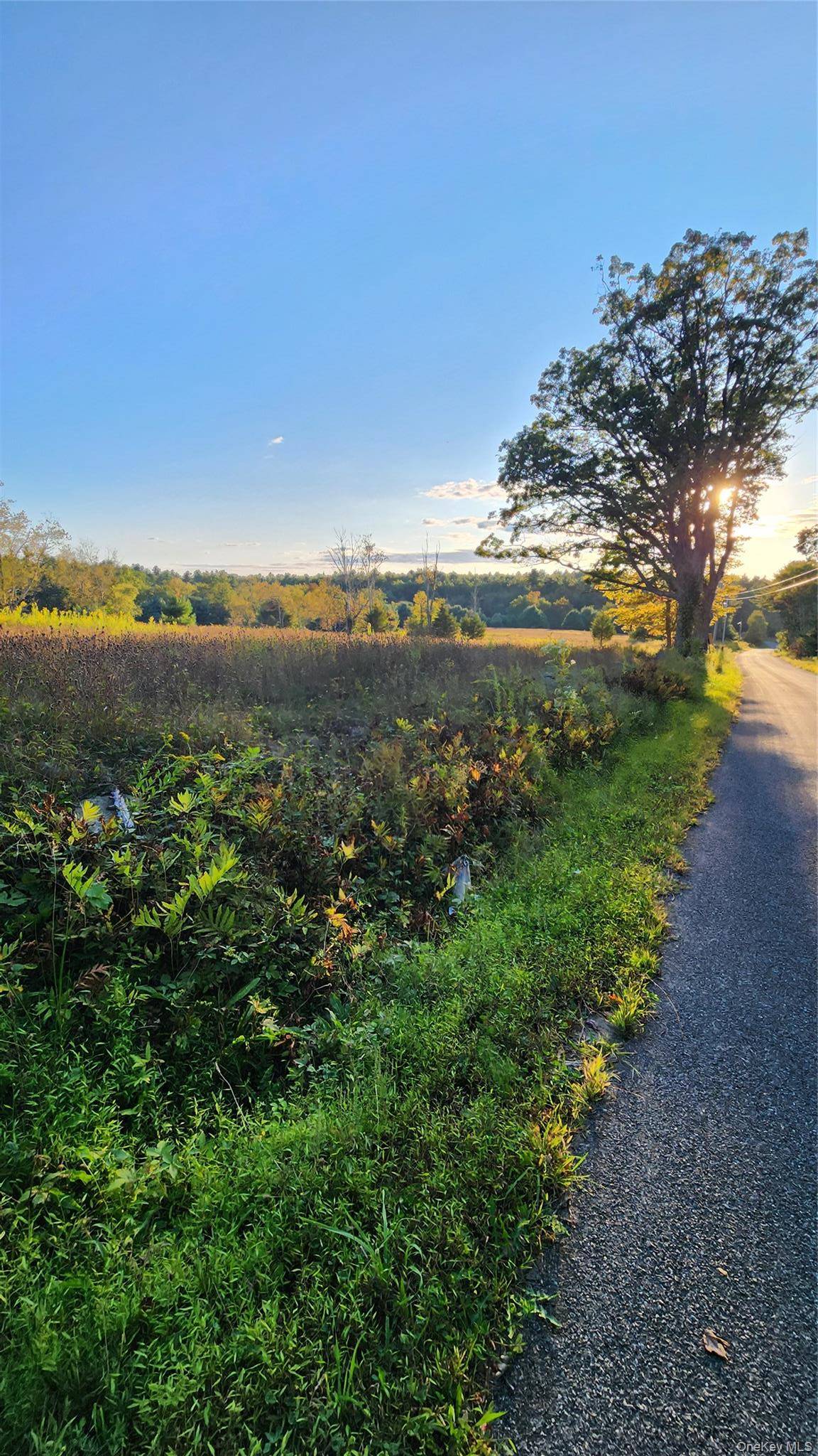 647 Irish Cape RD, Ellenville, NY 12428