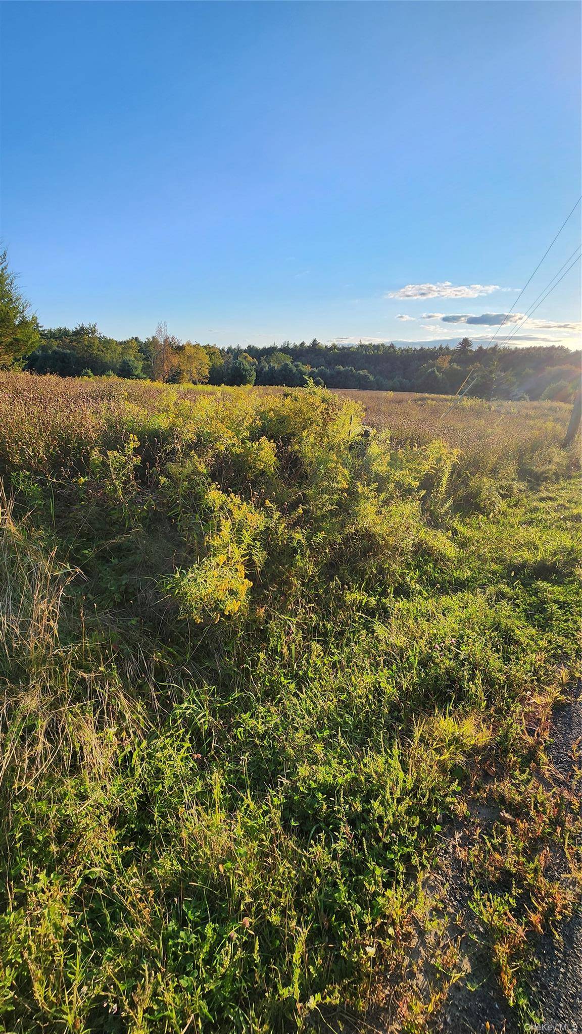647 Irish Cape RD, Ellenville, NY 12428