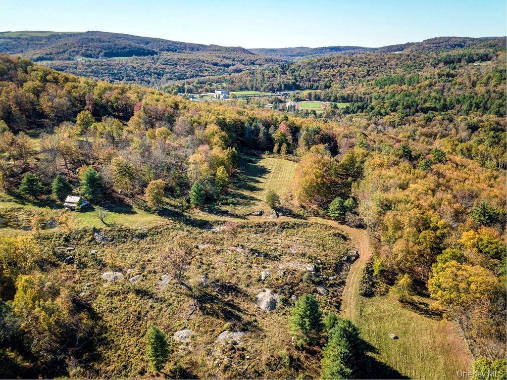 TBD State Route 55 and Smith Lane, Neversink, NY 12765