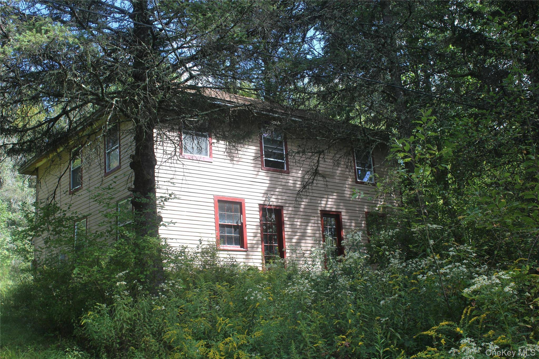 1934 Morton Hill RD, Roscoe, NY 12776