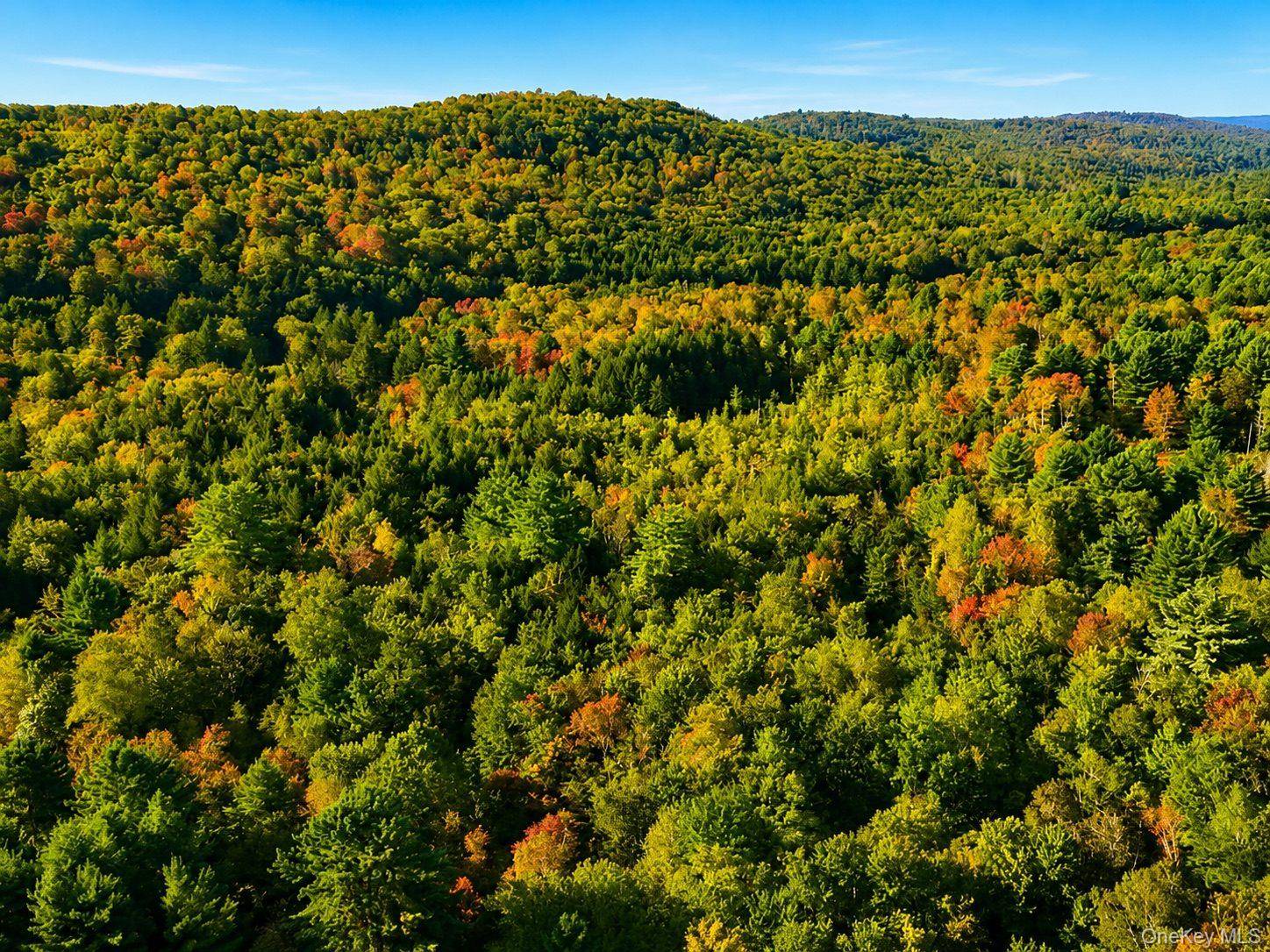 Town Park RD, Monticello, NY 12701