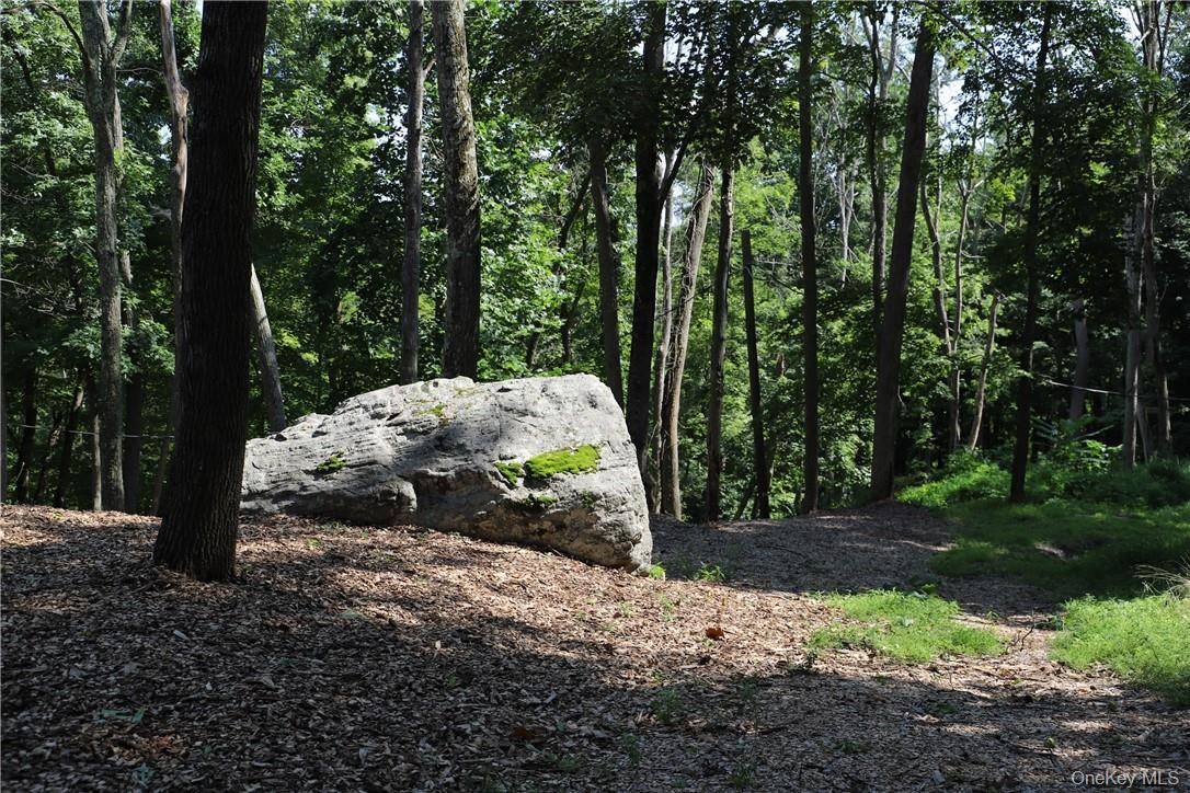 Mountain Farm RD, Tuxedo Park, NY 10987