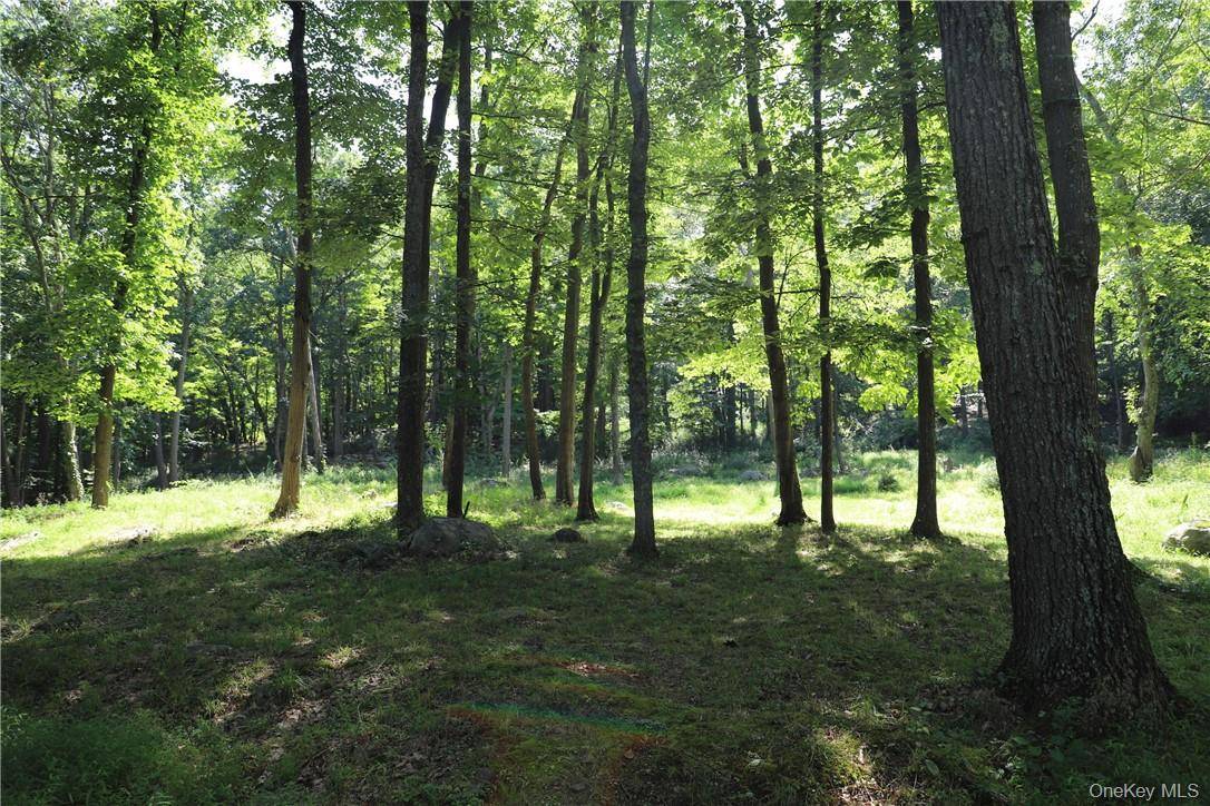 Mountain Farm RD, Tuxedo Park, NY 10987