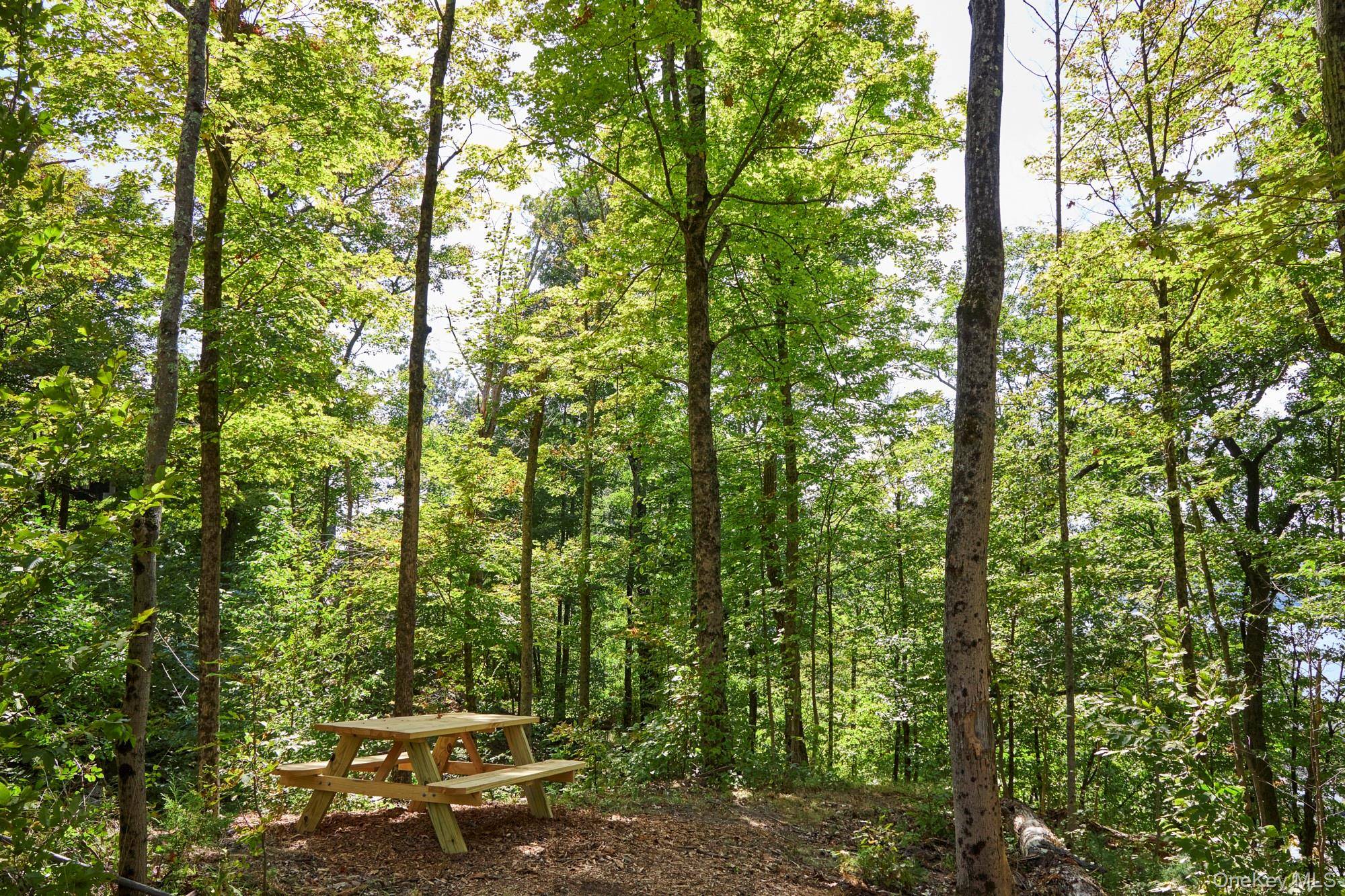 Mill RD, Rhinebeck, NY 12572