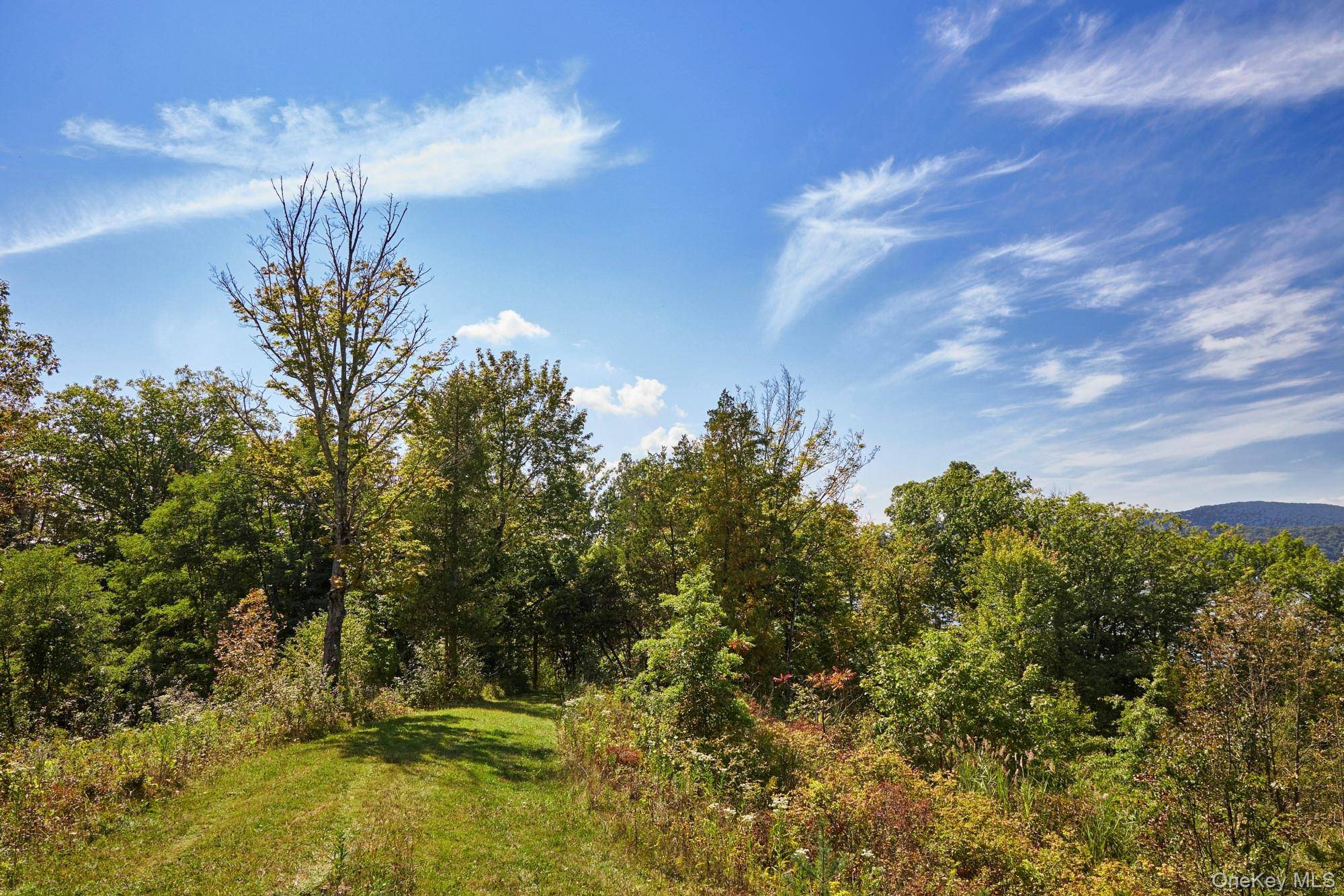 Mill RD, Rhinebeck, NY 12572