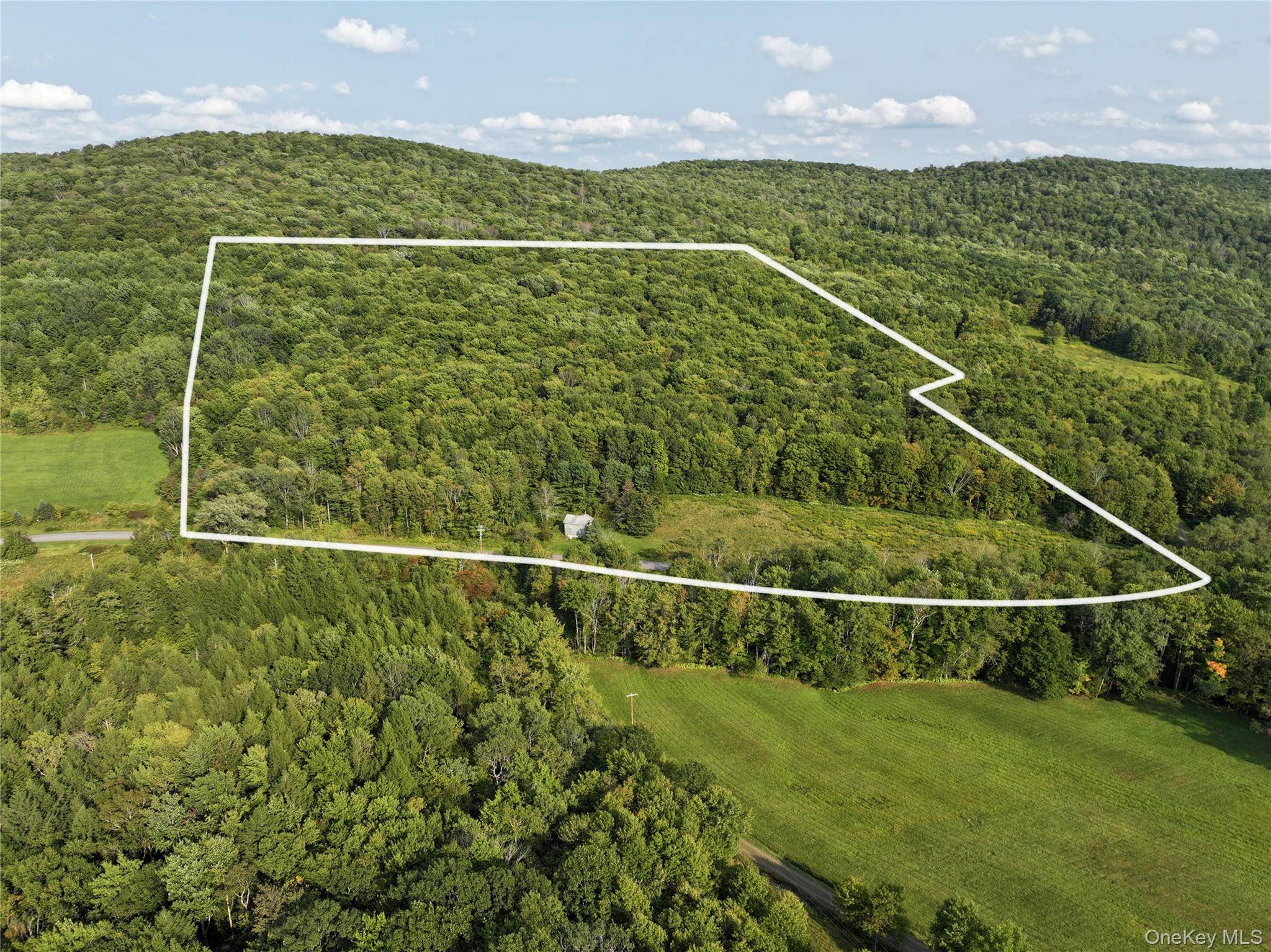 1990 Finch Hollow RD, Walton, NY 13856