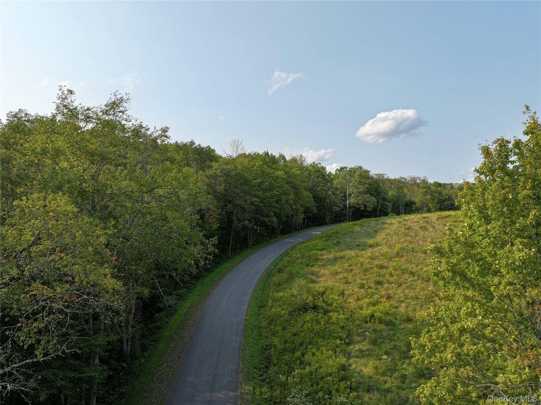 1990 Finch Hollow RD, Walton, NY 13856