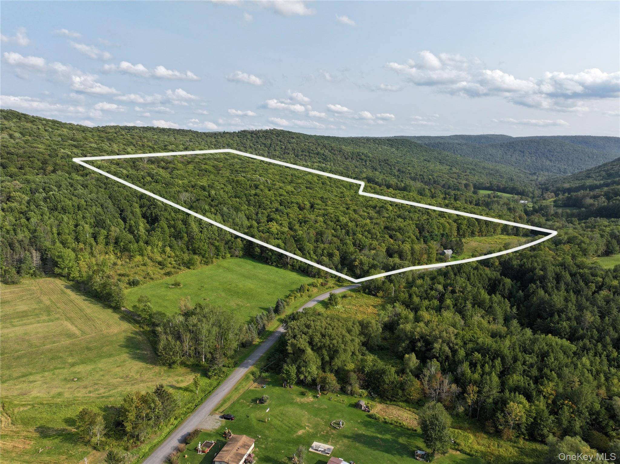 1990 Finch Hollow RD, Walton, NY 13856