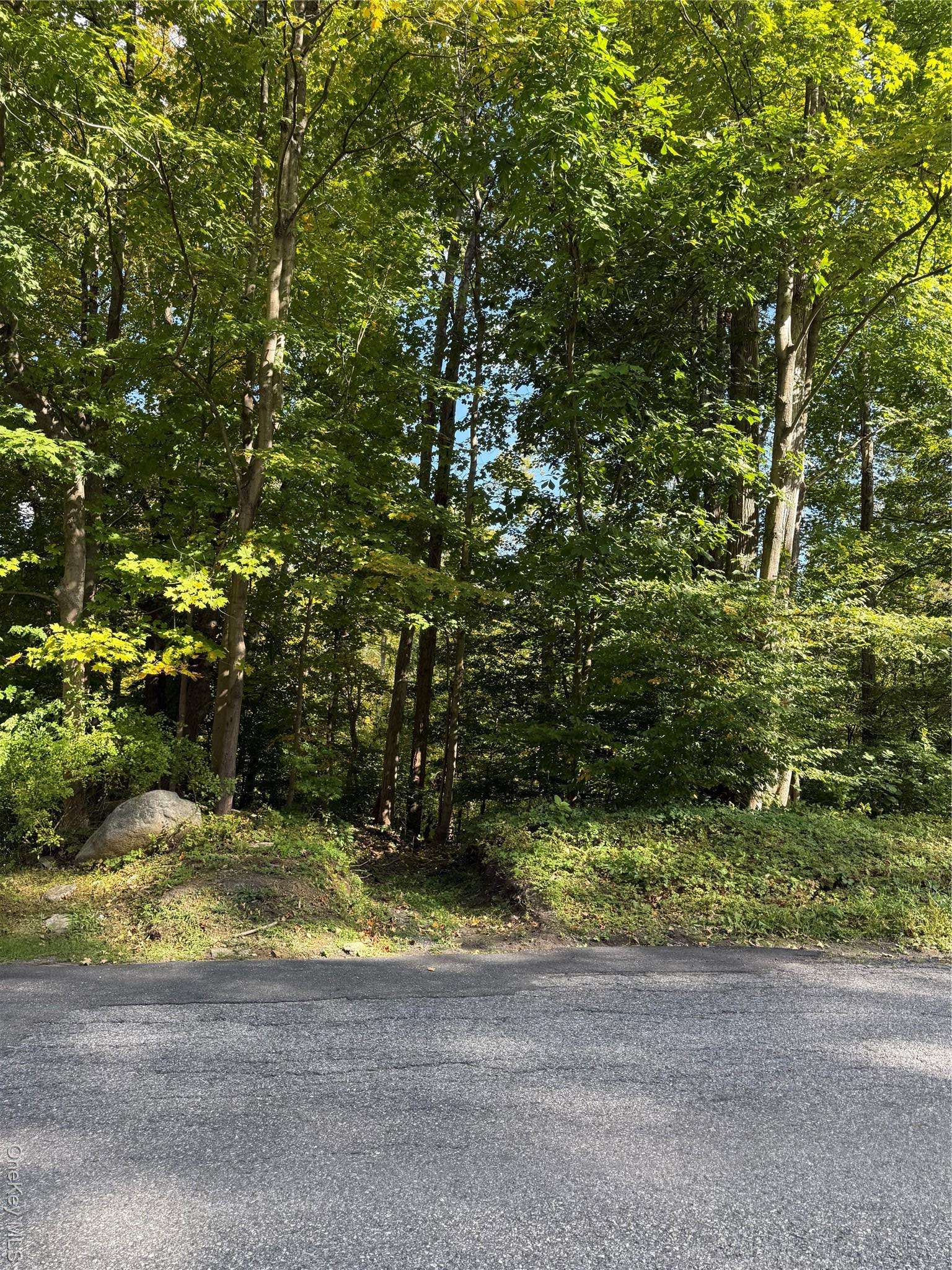 Ludington, Carmel, NY 10512