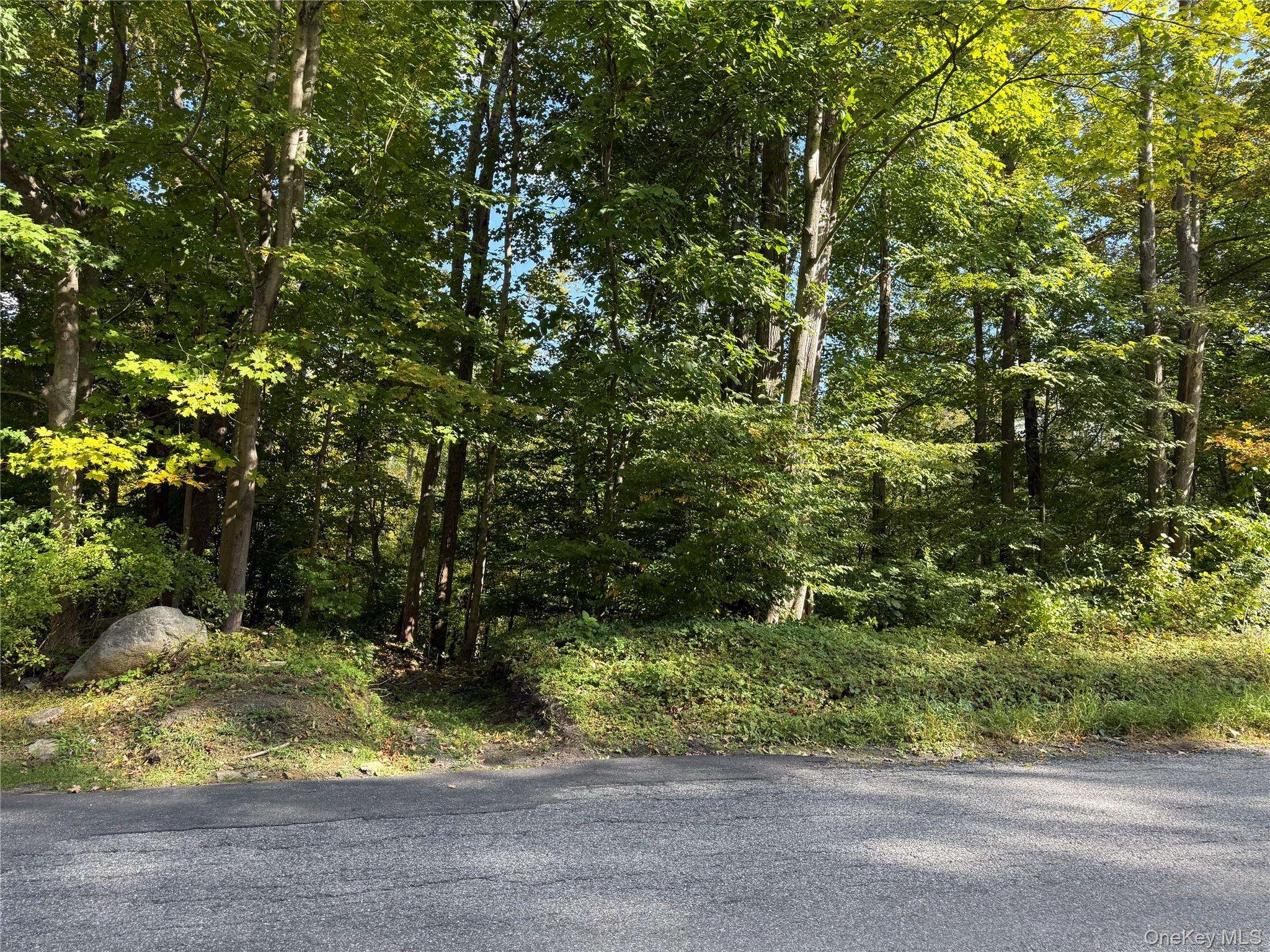 Ludington, Carmel, NY 10512