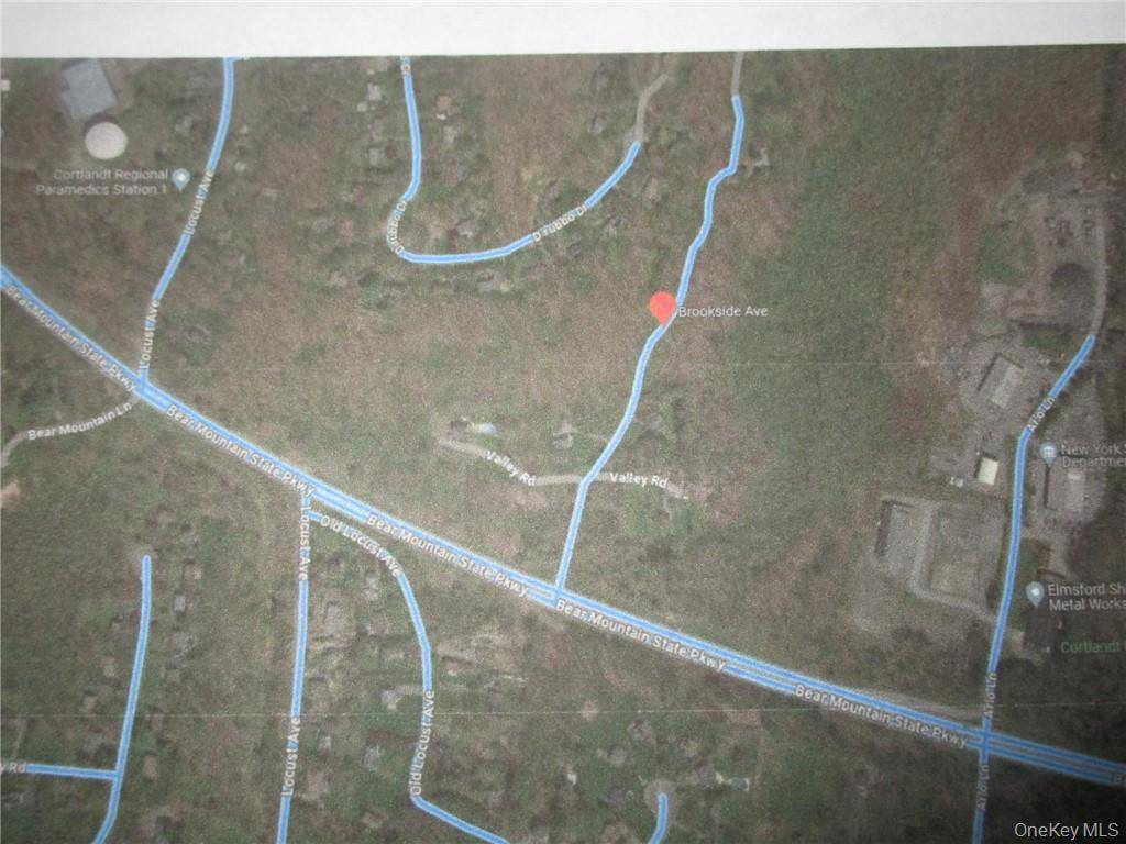 Brookside/Bear Mtn Parkway AVE, Cortlandt Manor, NY 10567