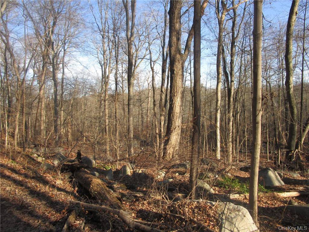 Brookside/Bear Mtn Parkway AVE, Cortlandt Manor, NY 10567