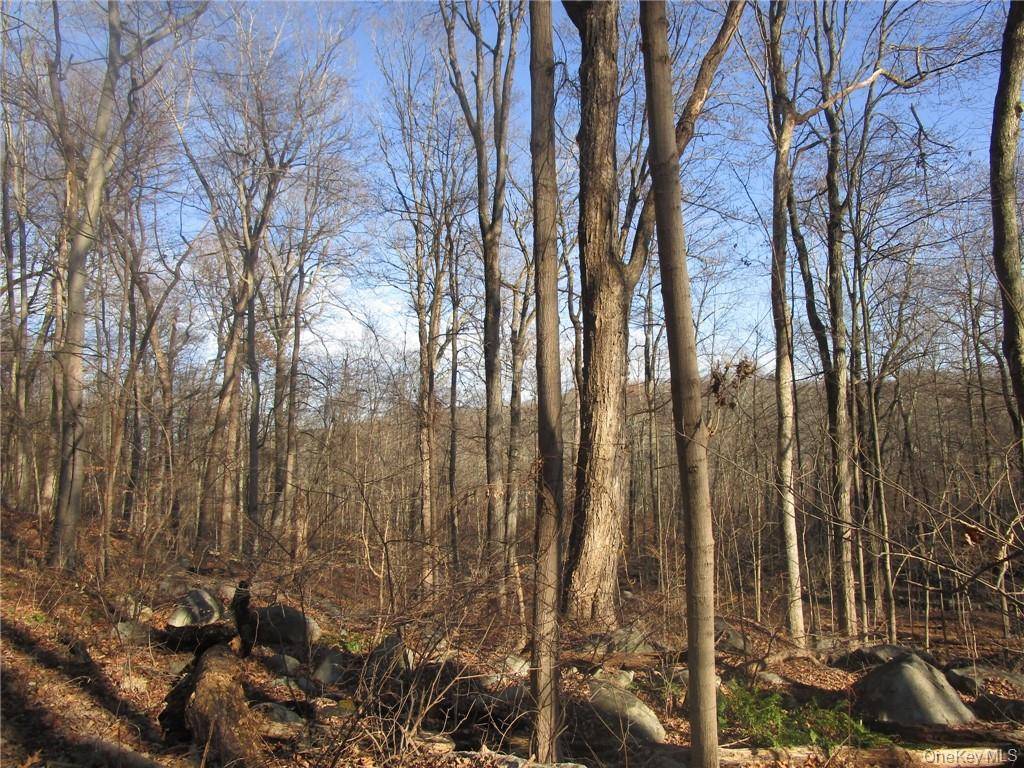 Brookside/Bear Mtn Parkway AVE, Cortlandt Manor, NY 10567