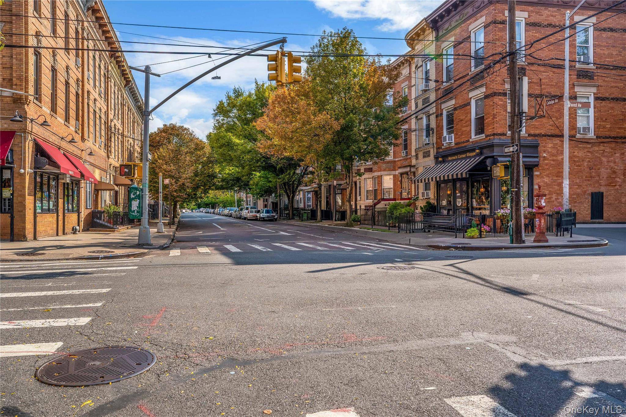59-05 Catalpa AVE, Ridgewood, NY 11385