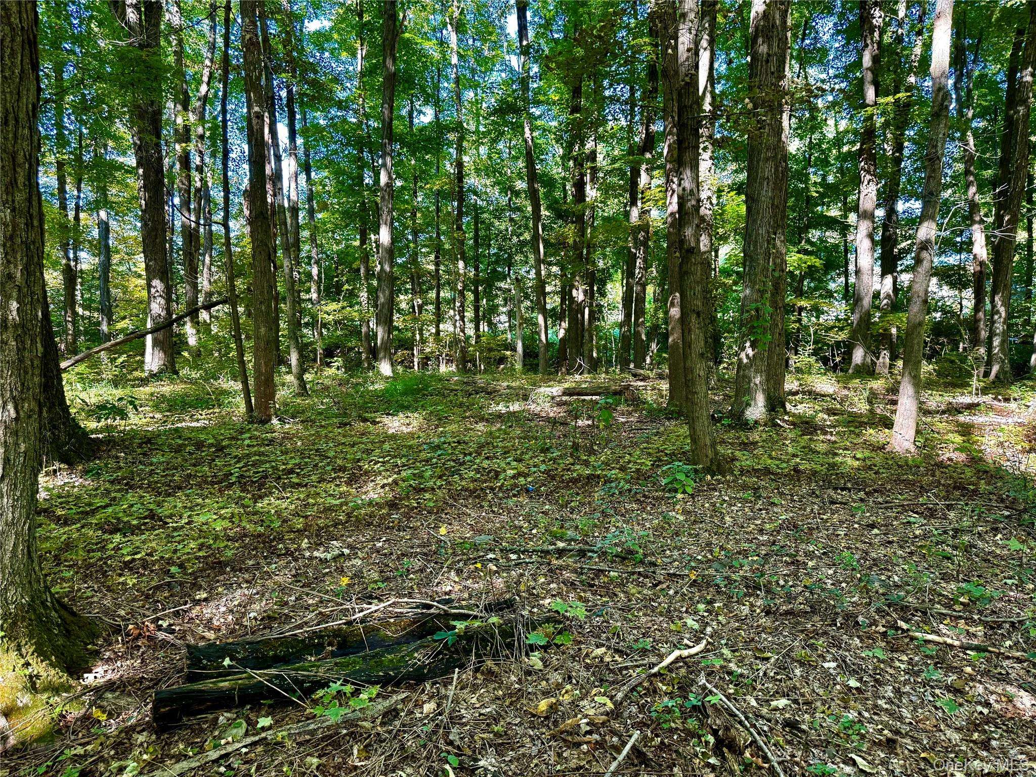 Freedom RD, Lagrangeville, NY 12569