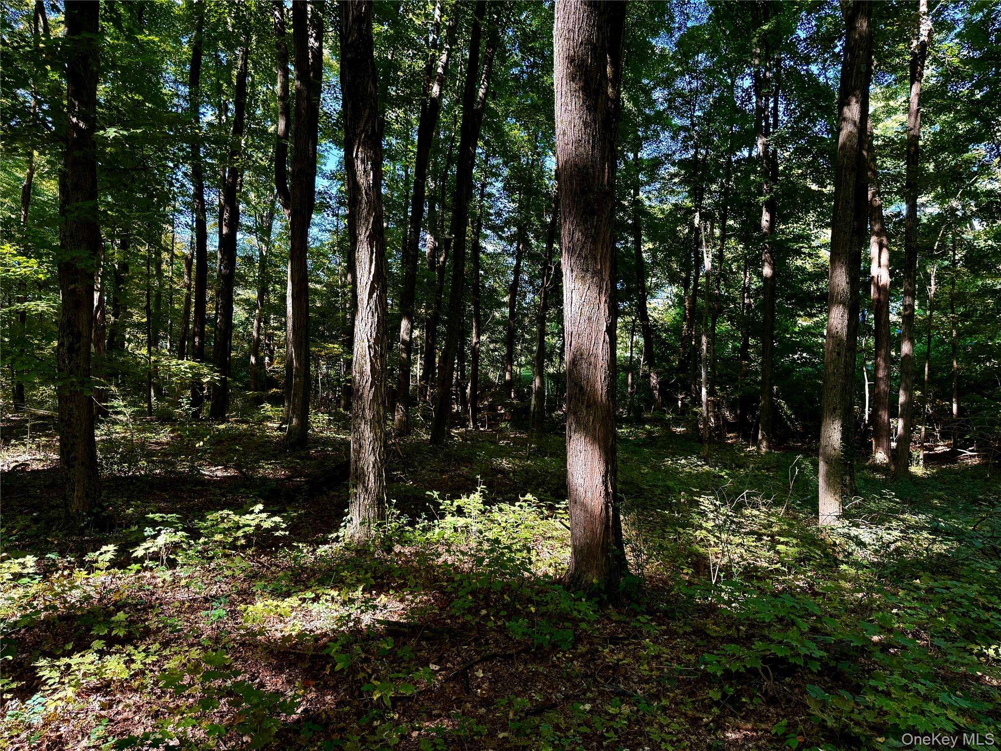 Freedom RD, Lagrangeville, NY 12569