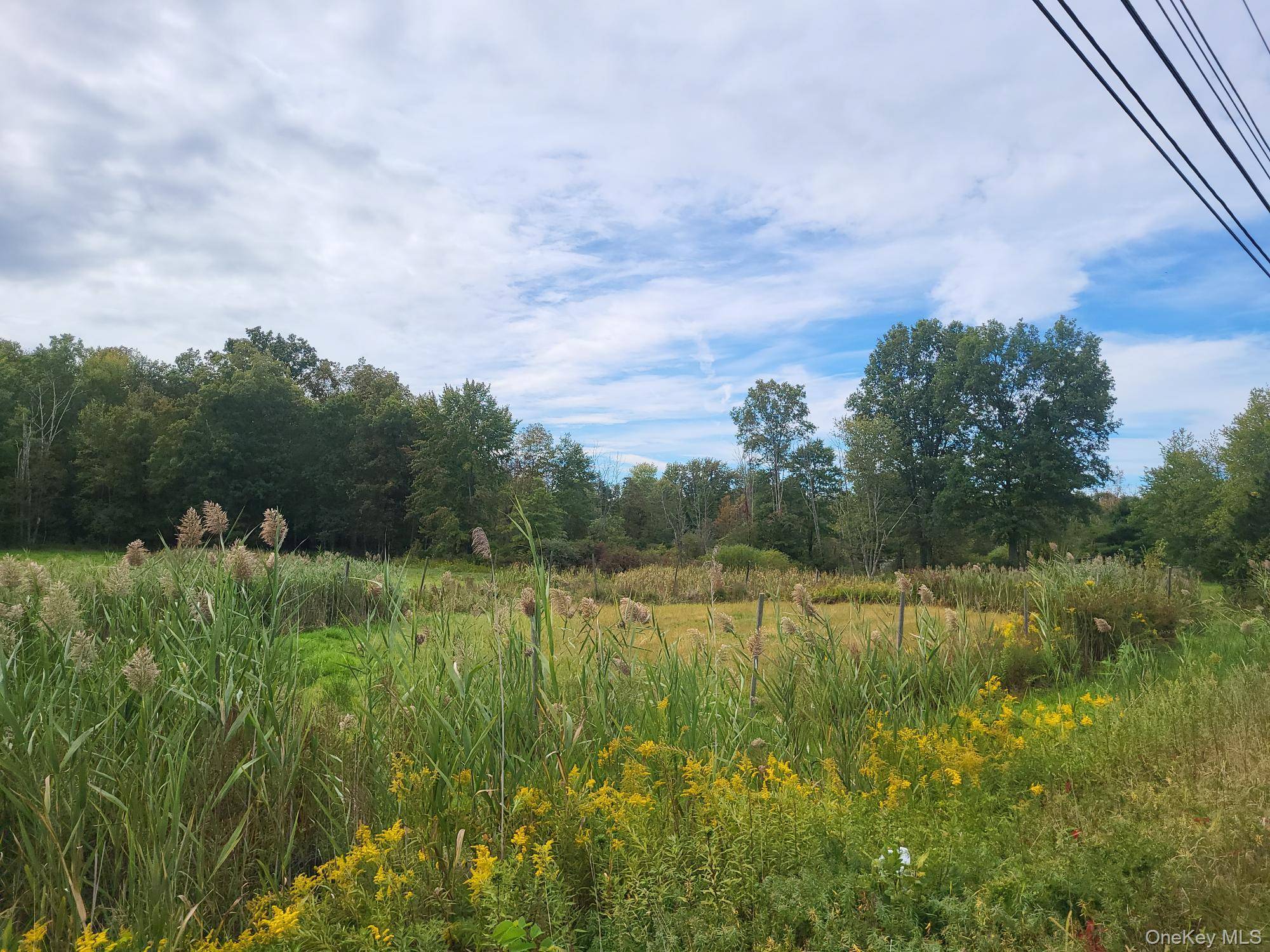 328 Bloomingburg RD, Middletown, NY 10940