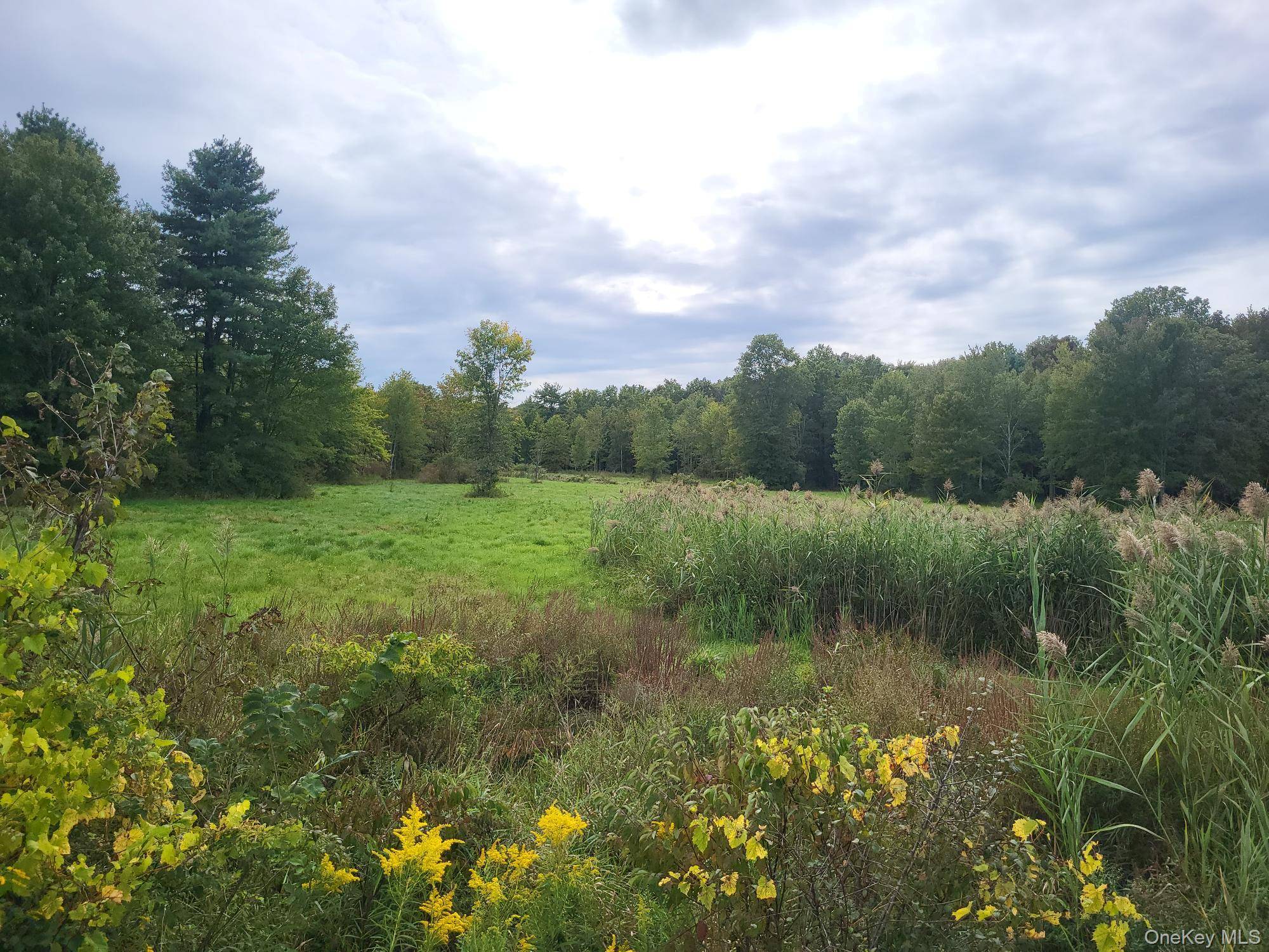 328 Bloomingburg RD, Middletown, NY 10940
