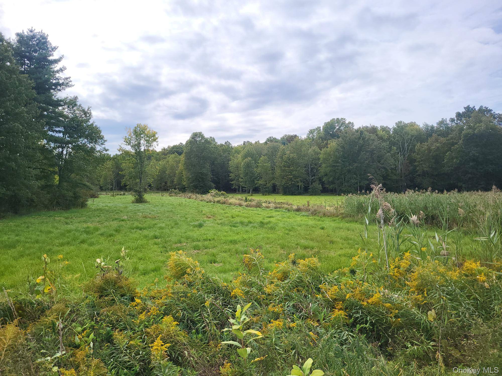 328 Bloomingburg RD, Middletown, NY 10940
