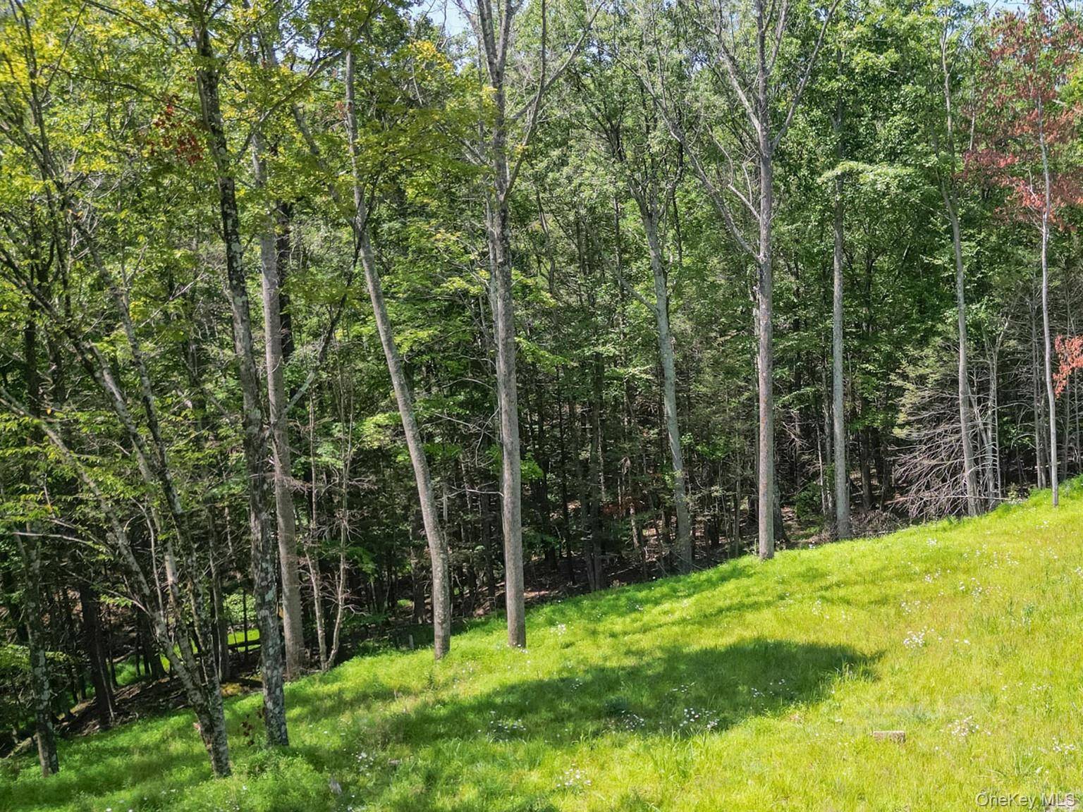 61 Hillside DR, Shokan, NY 12494