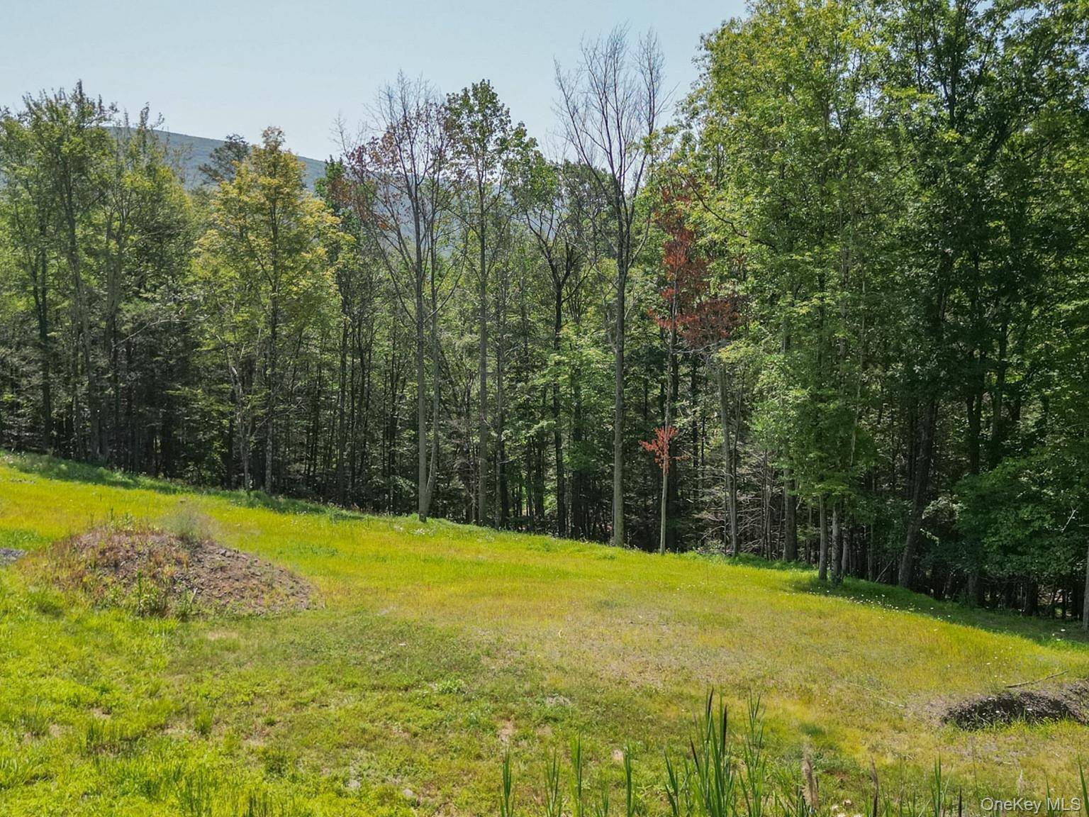 61 Hillside DR, Shokan, NY 12494