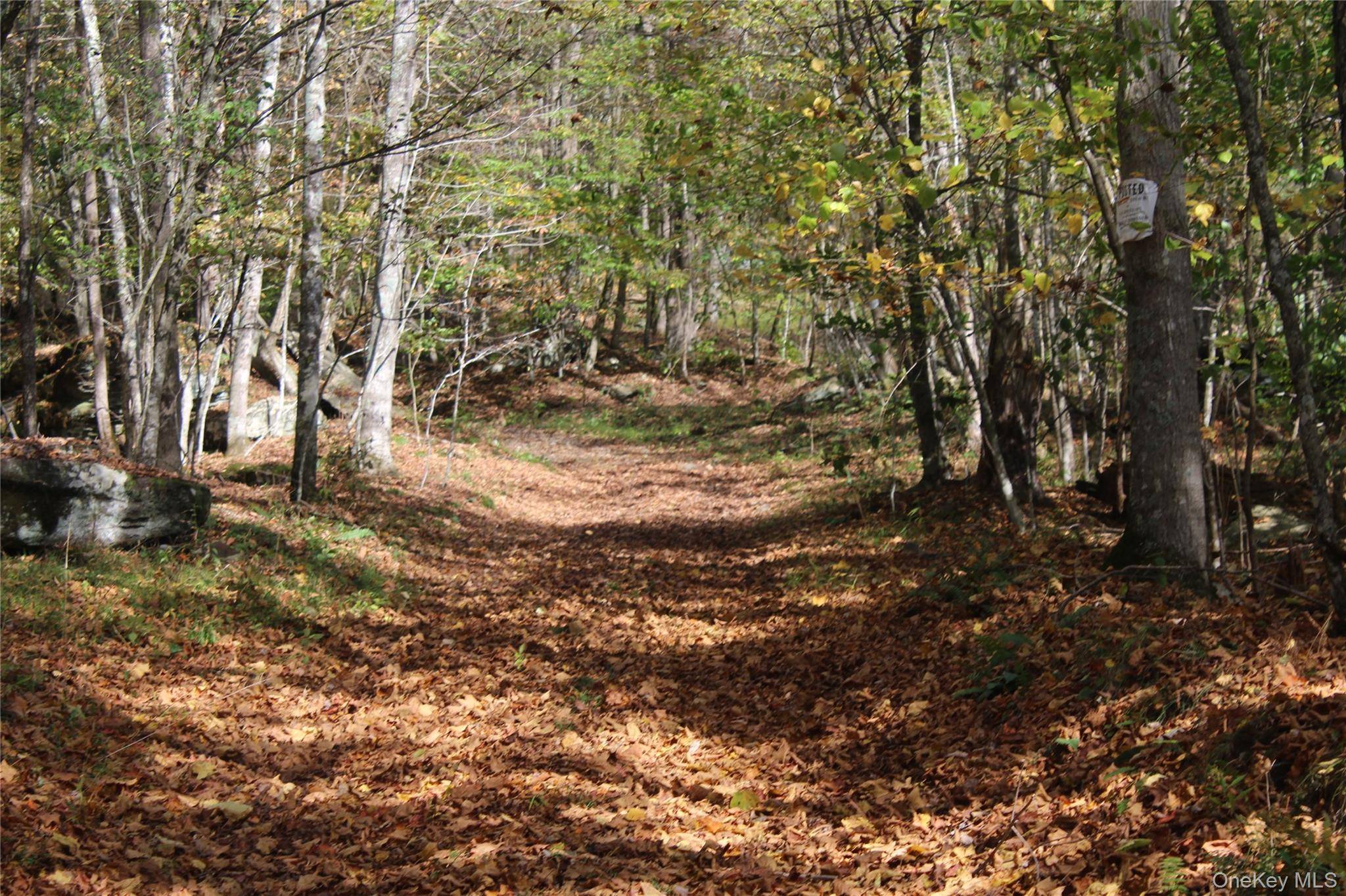 Peakville RD, Roscoe, NY 13783