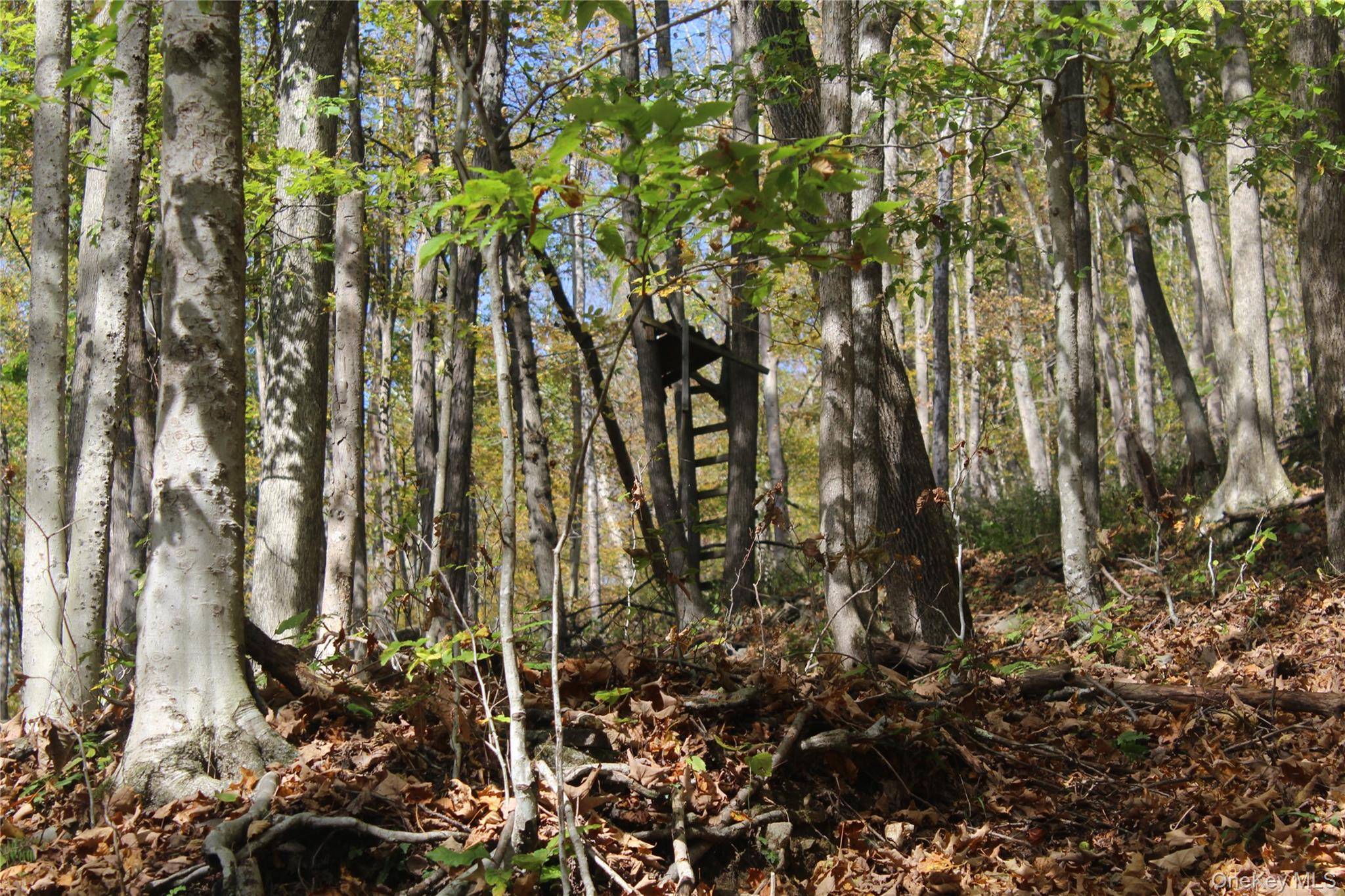 Peakville RD, Roscoe, NY 13783