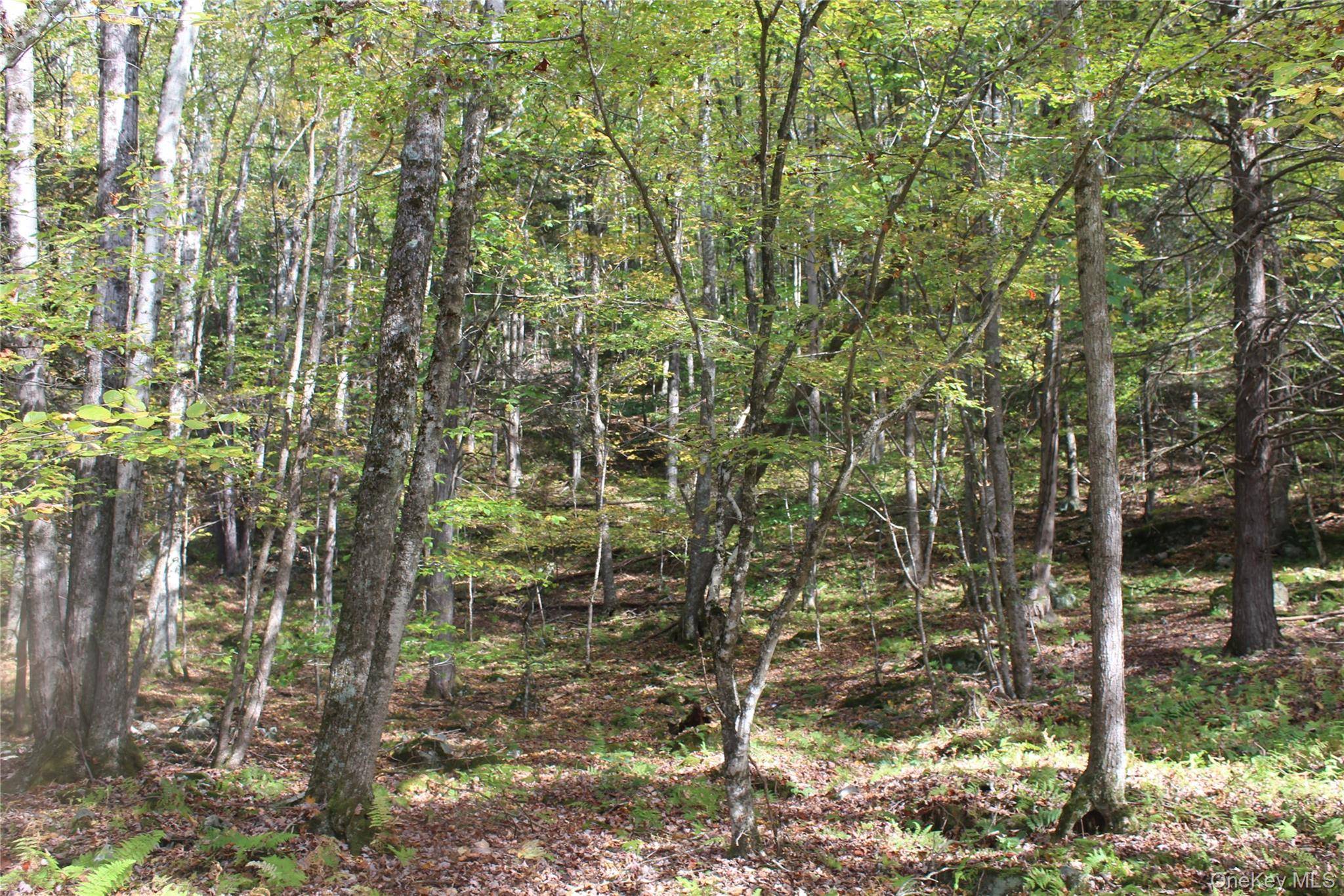 Peakville RD, Roscoe, NY 13783